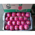 /msite/products/detail/productid/54855485/id/542998.html